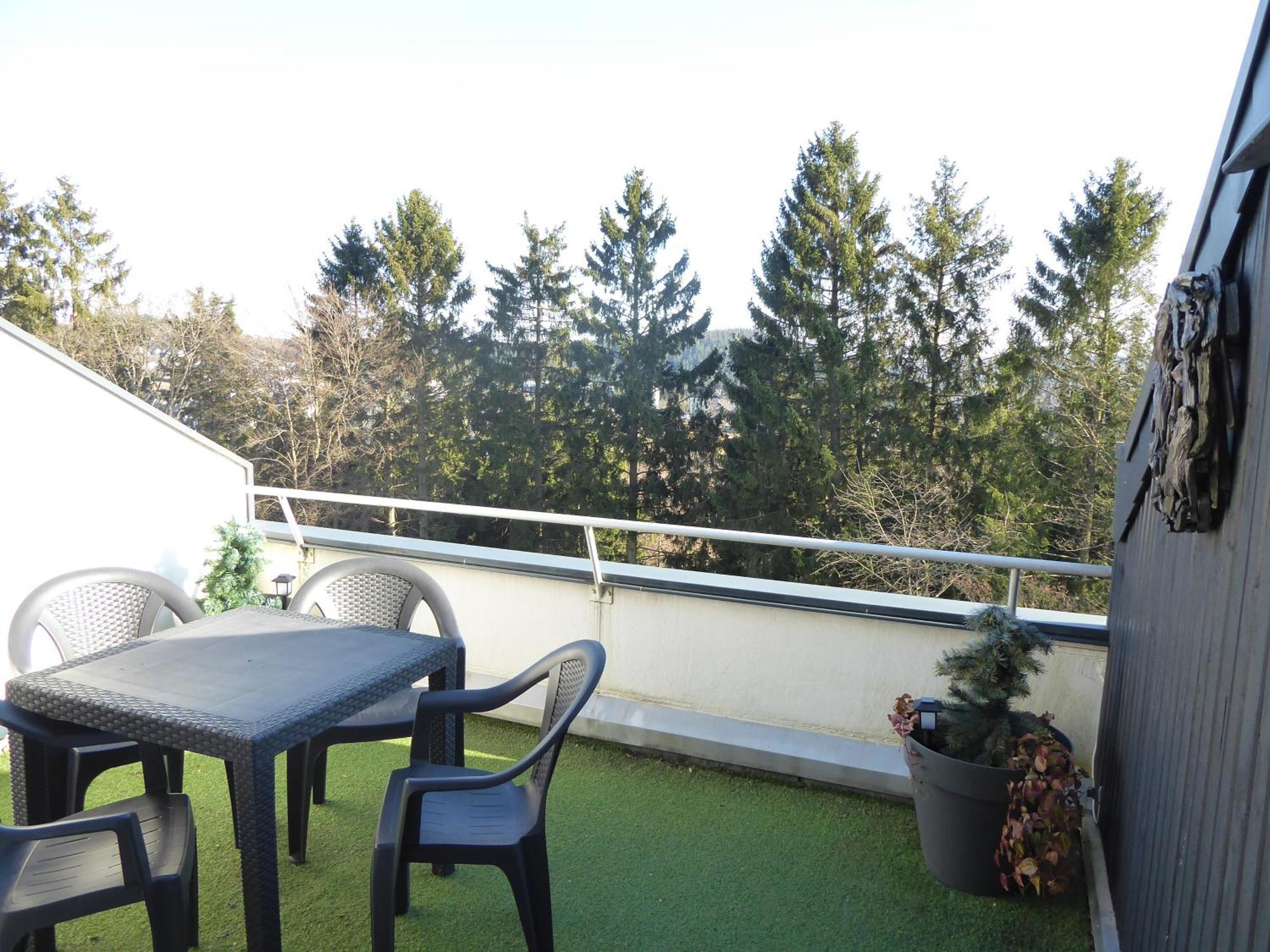 Mountain Suite Winterberg Pool Sauna Hund 4 Pers Wifi Near Bikepark Eksteriør billede